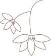 Flower Icon PNG