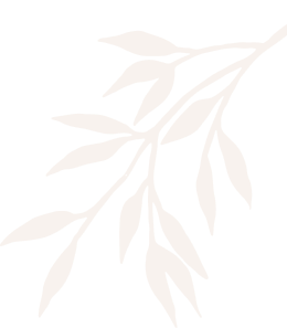 white leaf PNG